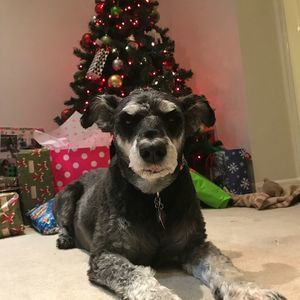 Meet your Posher, Nichole